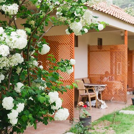Village Garden Pansiyon アンタルヤ エクステリア 写真