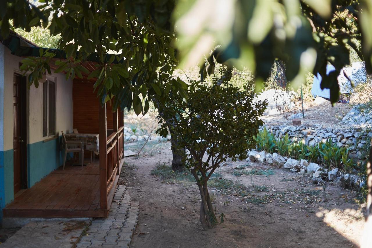 Village Garden Pansiyon アンタルヤ エクステリア 写真
