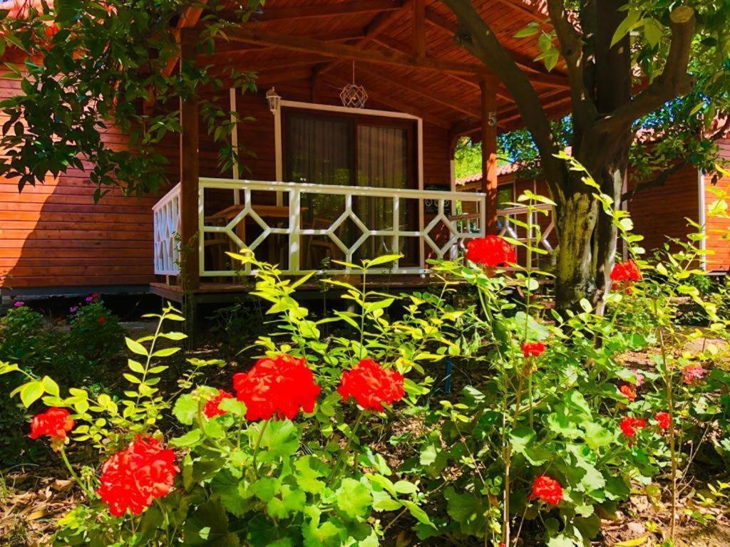 Village Garden Pansiyon アンタルヤ エクステリア 写真