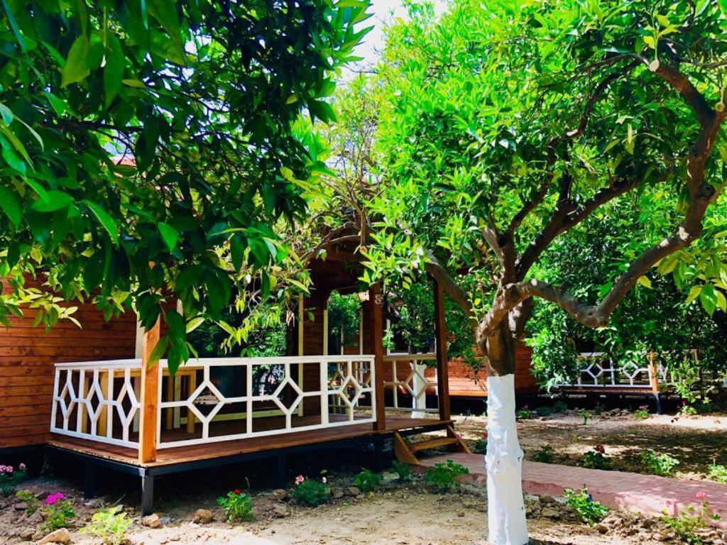 Village Garden Pansiyon アンタルヤ エクステリア 写真
