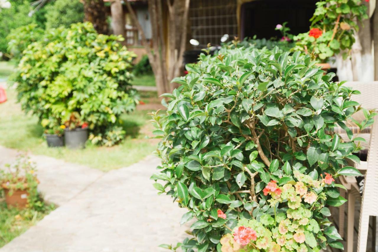 Village Garden Pansiyon アンタルヤ エクステリア 写真