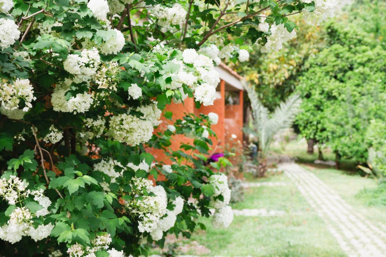 Village Garden Pansiyon アンタルヤ エクステリア 写真